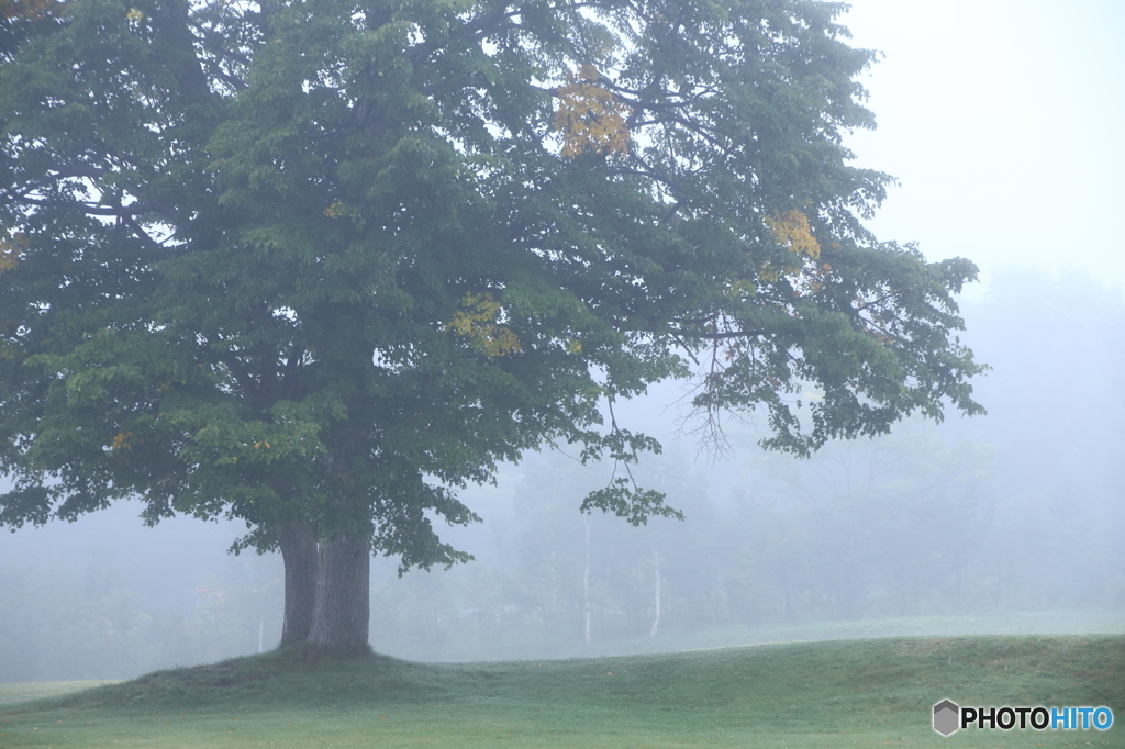 小さな秋探し３