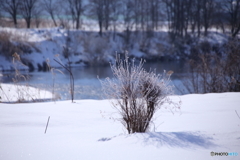 雪景　３