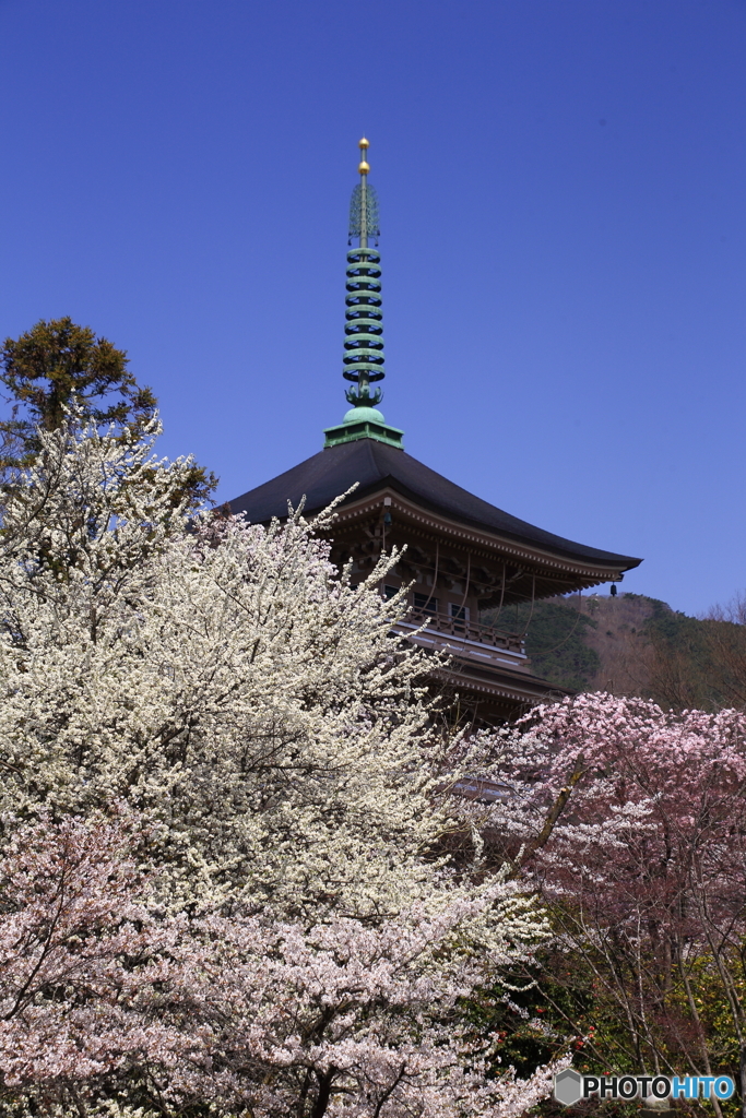 塔