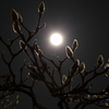 初めての夜