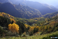 陽が傾くとき