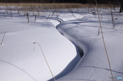 雪肌