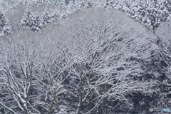 雪を装う