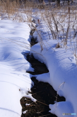 雪とける