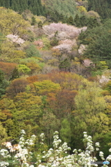 今だけの色