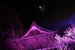 長野灯明まつり　2