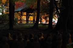 逝く秋を見つめて