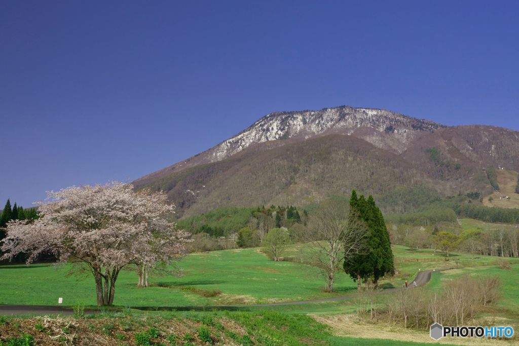 黒姫山春景