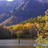 秋の池めぐり　12