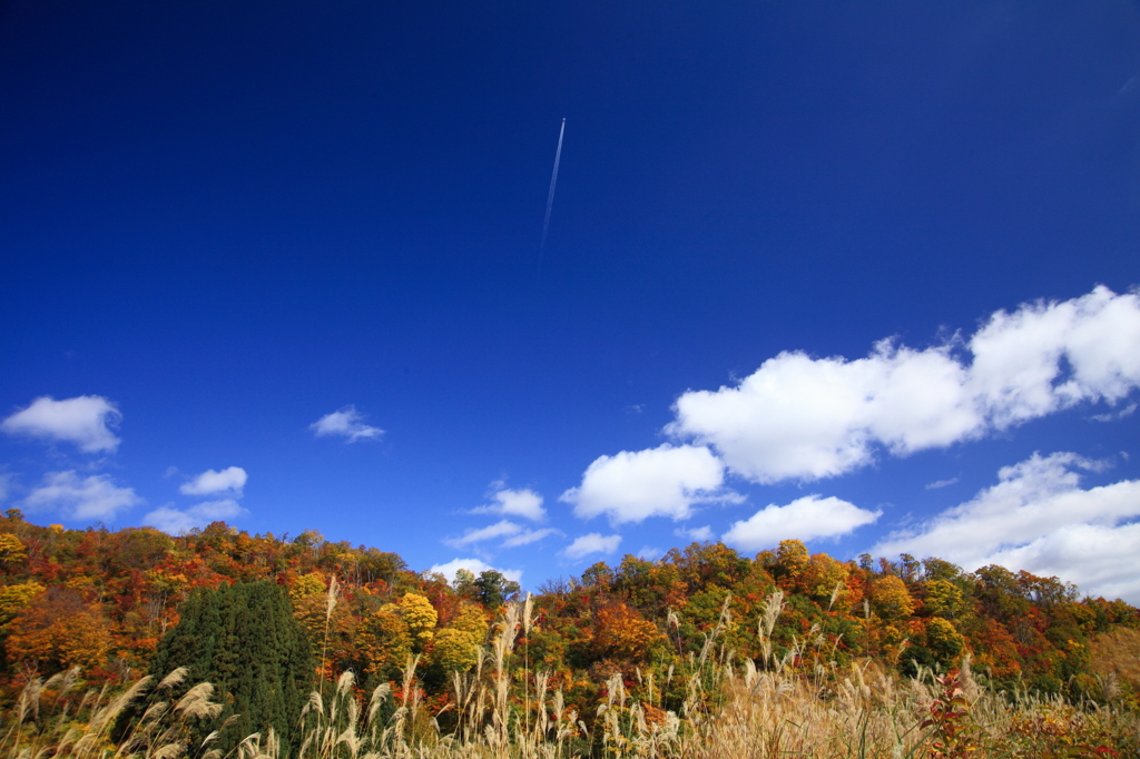 秋景拾遺3　さよなら秋の日