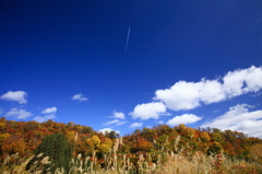 秋景拾遺3　さよなら秋の日