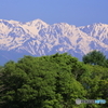 清涼感