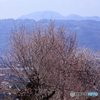 燃えるは禁句