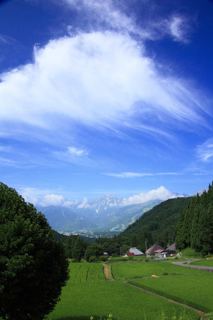 夏空