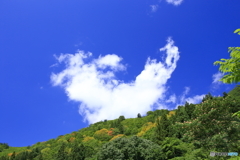 なにか変？