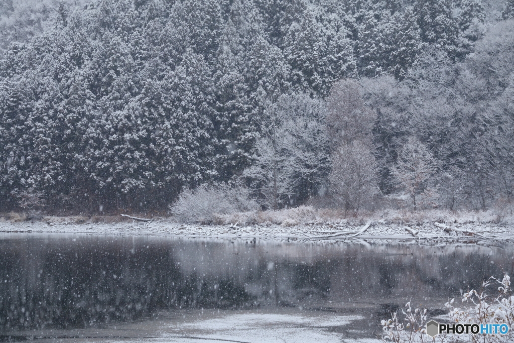 雪降りの景