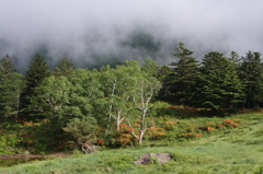 通り雲