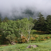 通り雲