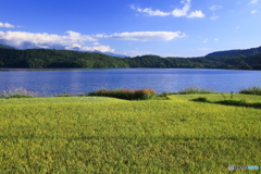 青木湖の実り