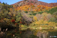 紅葉風景　6