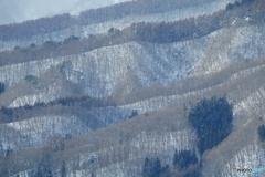 山肌
