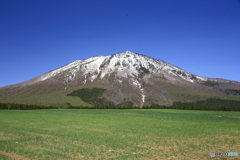 雲雀野