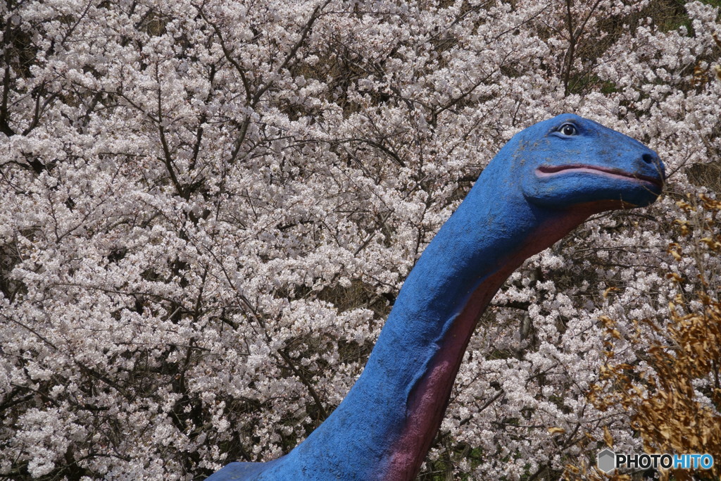恐竜たちのお花見　４