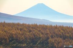 富士山が見える