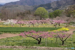 平凡がいちばん