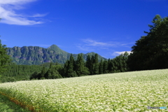 高妻山
