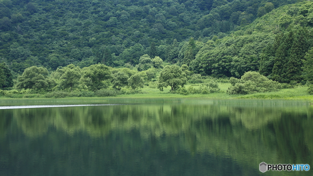 夏の池　１