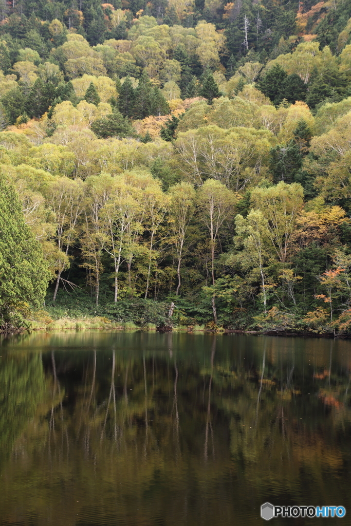 秋の池めぐり　2