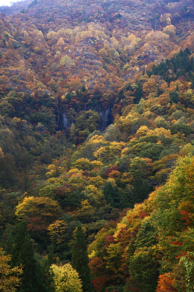 全山紅葉