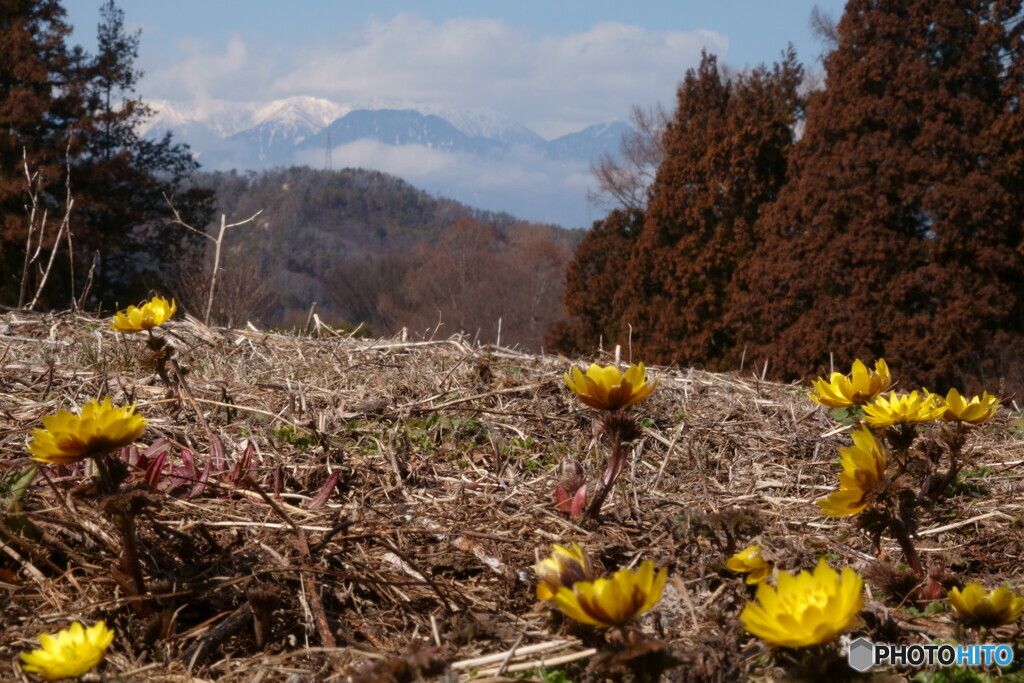 四賀村