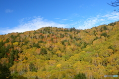 秋の山