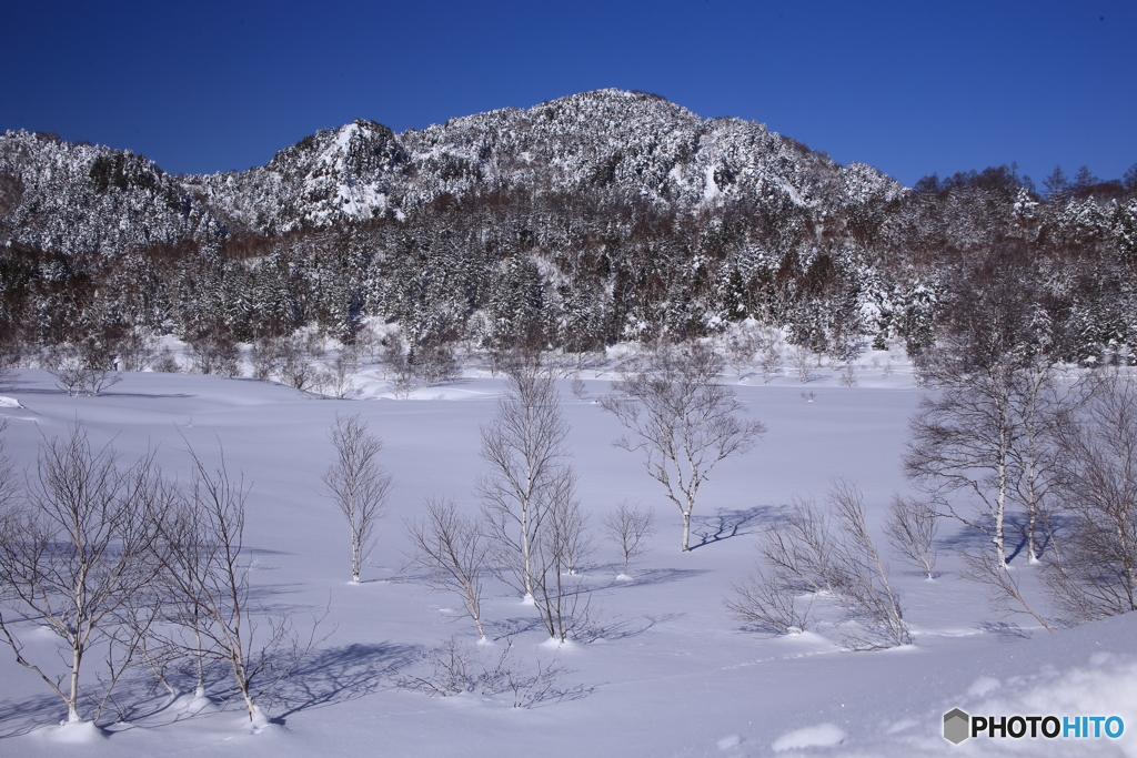 雪の田ノ原湿原