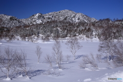 雪の田ノ原湿原