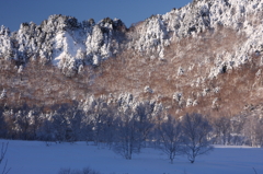 湿原の朝