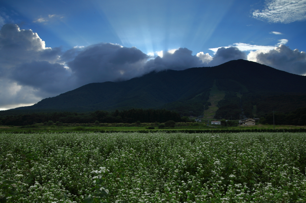 飯綱山山麓