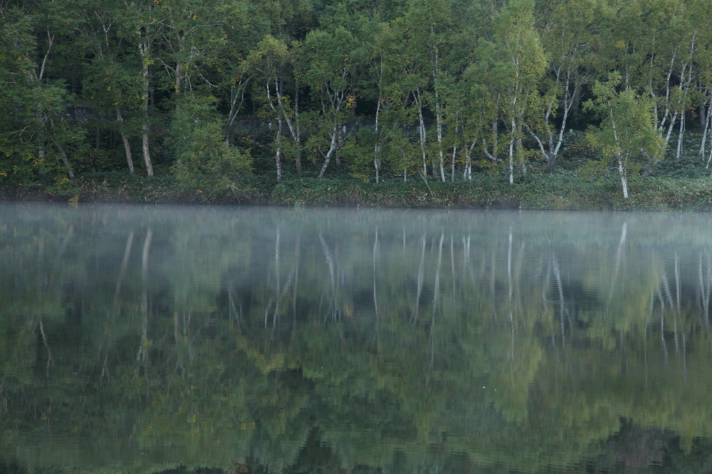 志賀高原紅葉情報４