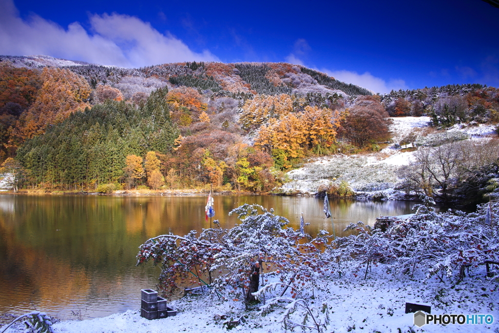 りんごの木のある光景