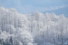 雪はどこまで