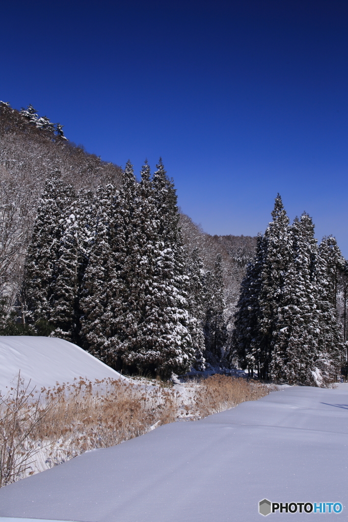 雪景　６