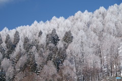 色の復権