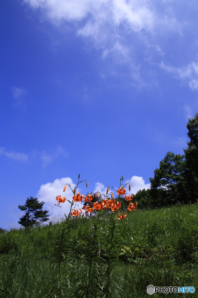 さよなら夏空