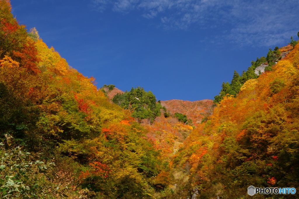 紅葉風景