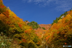 紅葉風景
