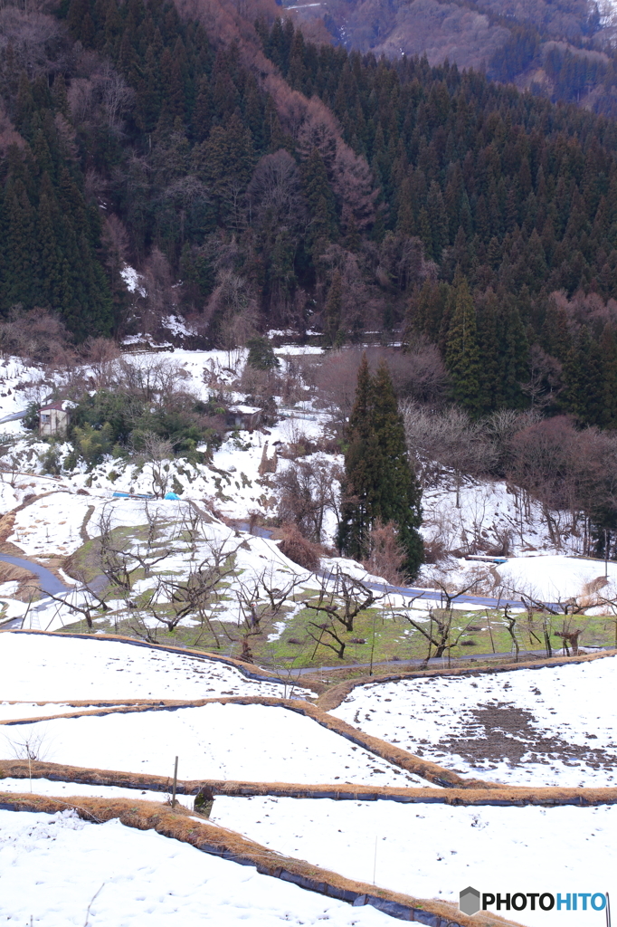 緑の復権　２