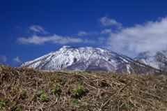 黒姫山・春