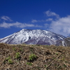 黒姫山・春